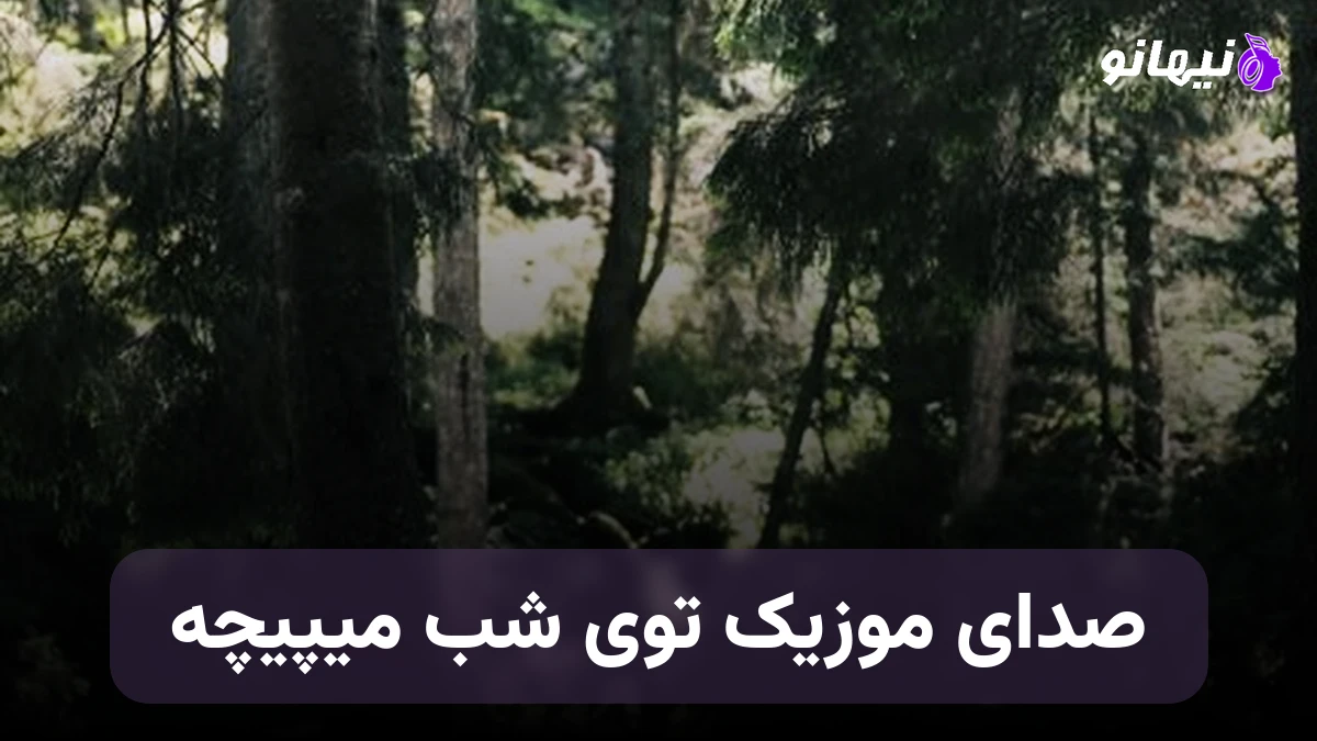 دانلود آهنگ صدای موزیک توی شب میپیچه صدای زن